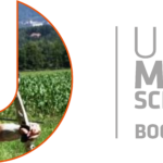 Logo_Bogen